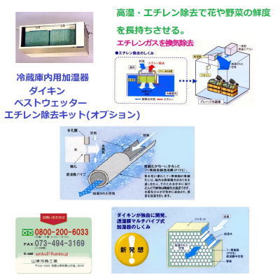 ベストウェッター